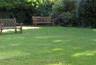 Southern Suburbs lawn-mowing-11.jpg; ?>