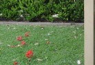 Southern Suburbs lawn-mowing-12.jpg; ?>