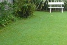 Southern Suburbs lawn-mowing-2.jpg; ?>