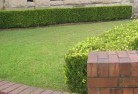 Southern Suburbs lawn-mowing-7.jpg; ?>