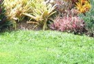 Southern Suburbs lawn-mowing-9.jpg; ?>