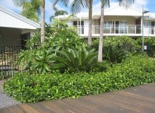 Kwikfynd Residential Landscaping
southernsuburbs