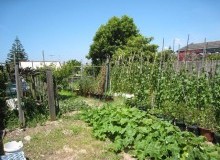 Kwikfynd Vegetable Gardens
southernsuburbs